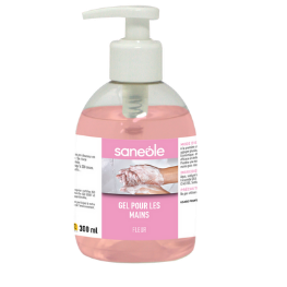 Gel lavant parfum fruits exotiques pour les mains avec pompe, bouteille 300 ml